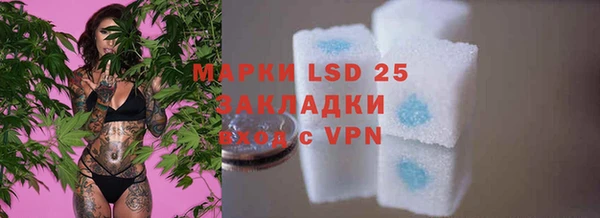 PSILOCYBIN Вязники