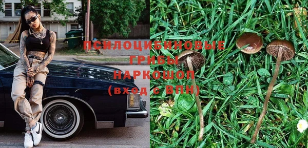 PSILOCYBIN Вязники