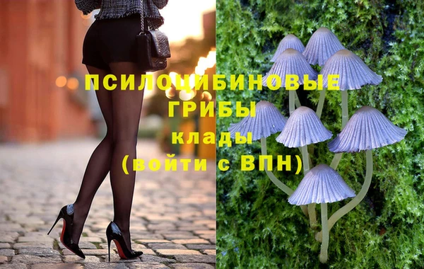 прущий лед Вязьма