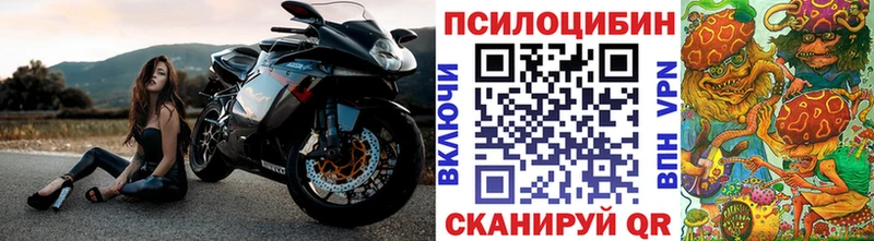 Галлюциногенные грибы прущие грибы Дмитровск